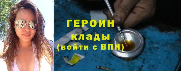 амф Снежногорск
