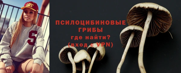 дмт Балахна