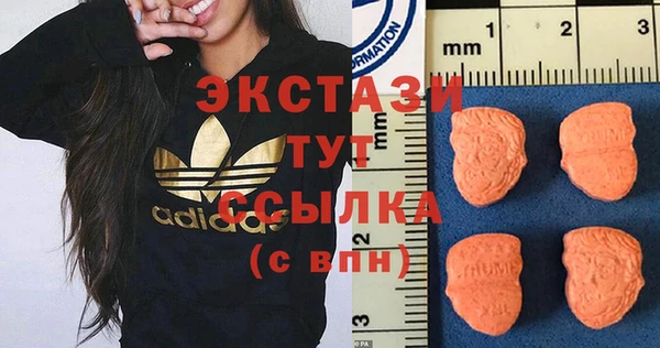 амф Снежногорск