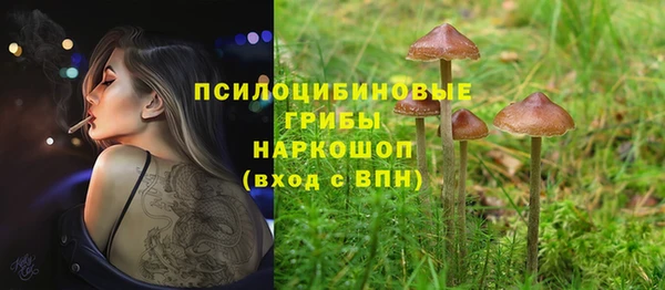 ALPHA PVP Баксан