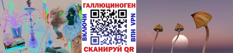 купить наркотик  Городовиковск  Галлюциногенные грибы Psilocybe 